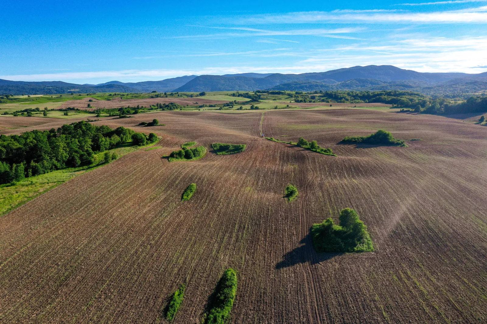 DJI 0110
